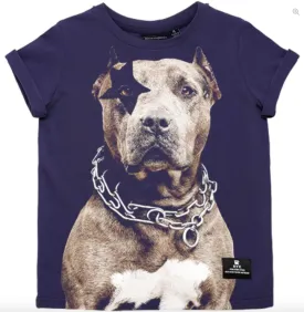 Rock Your Kid - Rock N Roll Star T-shirt in Navy